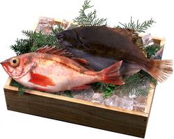 Рыбалка. Что лучше для рыбы: коптить, варить, вялить или солить?